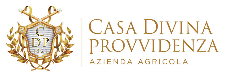 Casa Divina Provvidenza logo