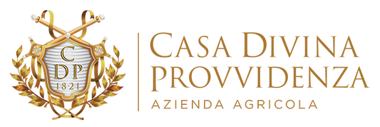 Casa Divina Provvidenza logo