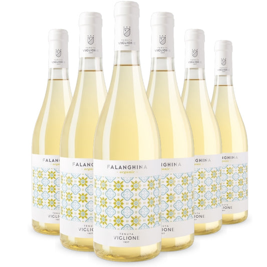 €50 BOX of 6 bottles Falanghina