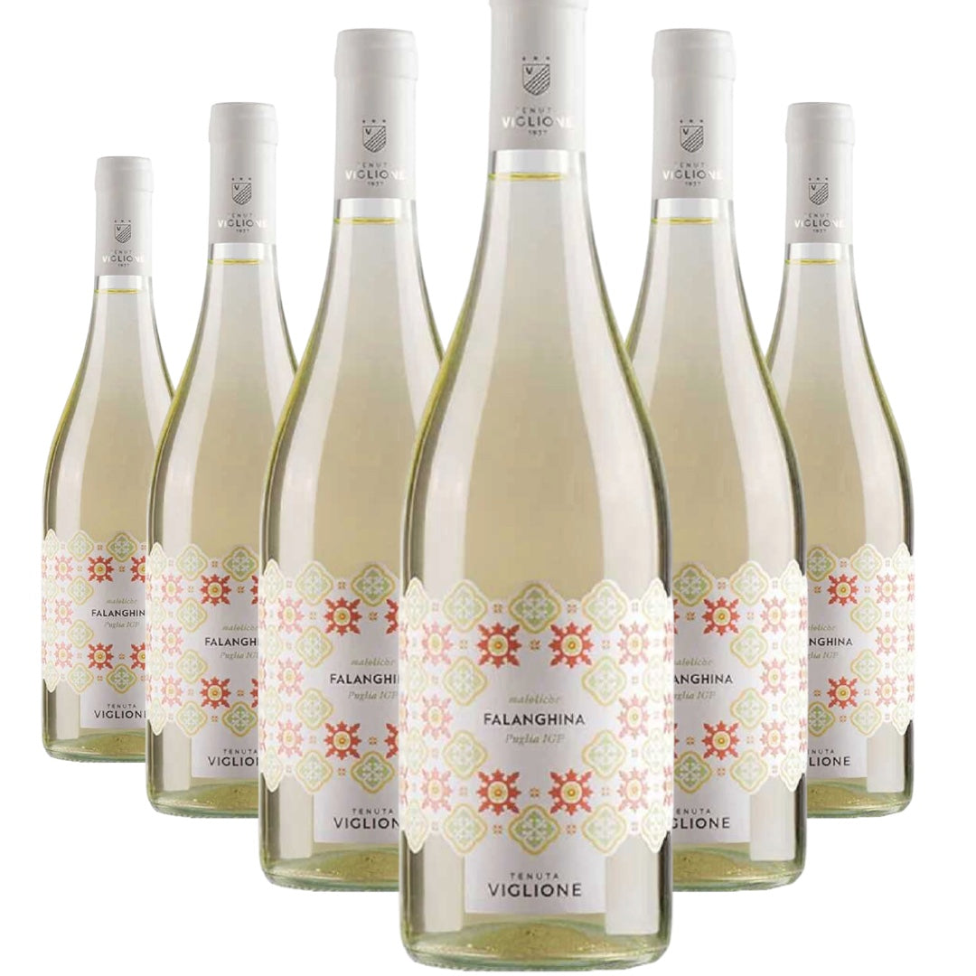 €50 BOX of 6 bottles Falanghina