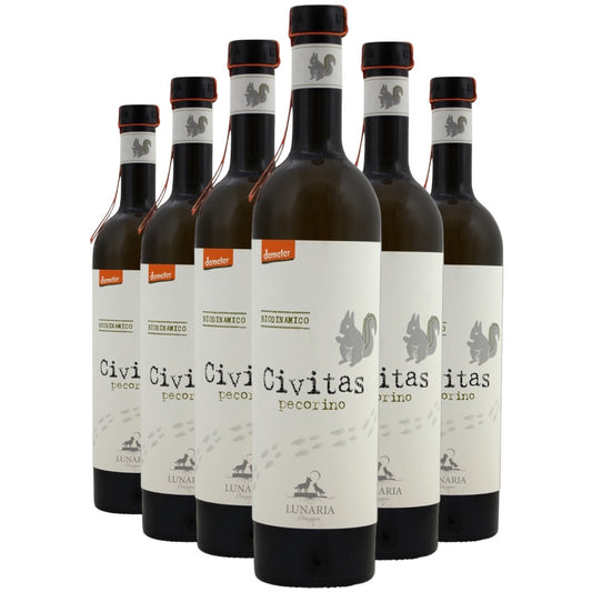 €50 box offer x 6: Civitas - Pecorino