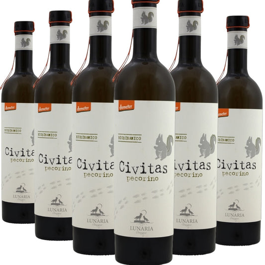 €50 box offer x 6: Civitas - Pecorino